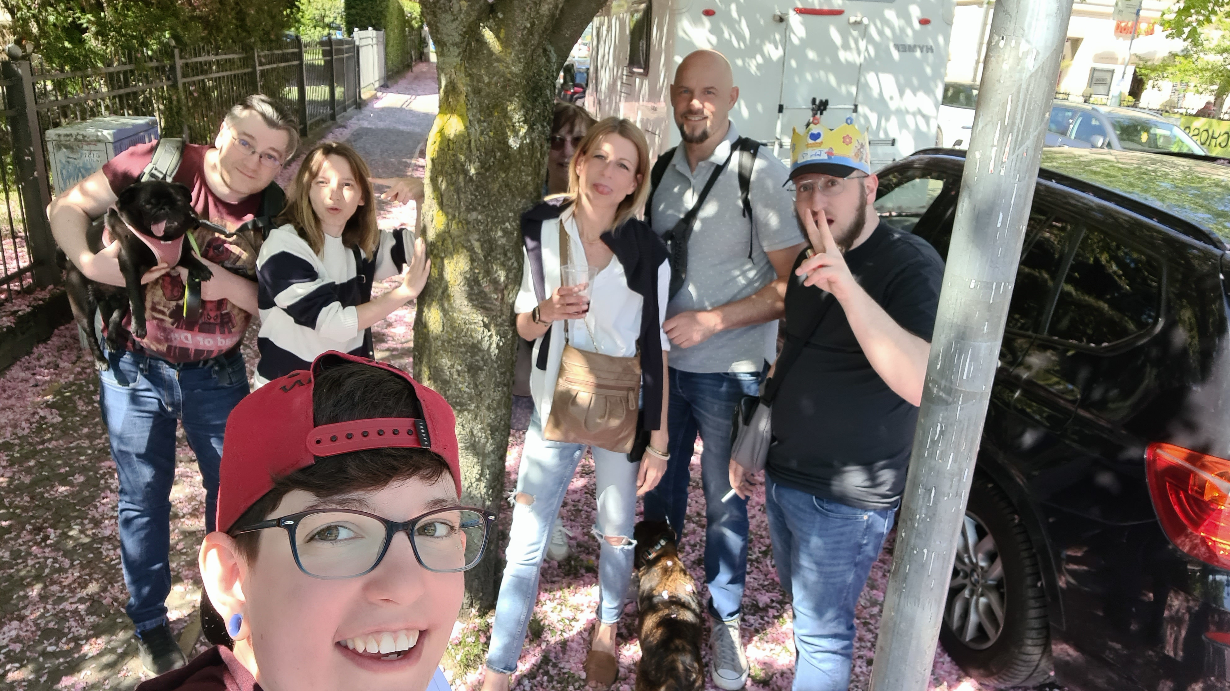 Baumblütenfest in Werder 2025